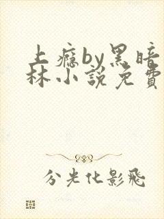 上瘾by黑暗森林小说免费