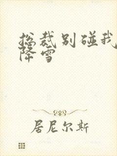 总裁别碰我 韩降雪