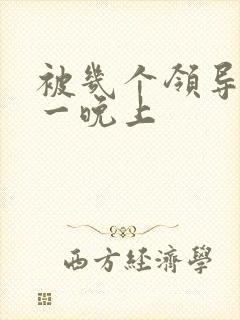 被几个领导玩弄一晚上