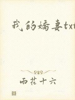 我的娇妻txt