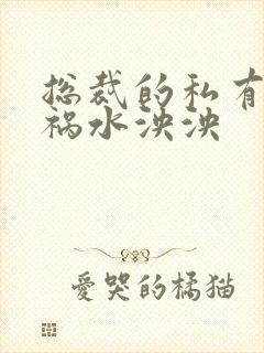 总裁的私有宝贝祸水泱泱