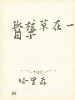 与校草在一起的日子