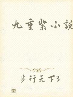 九重紫小说