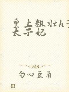 皇上粗壮h灌满太子妃