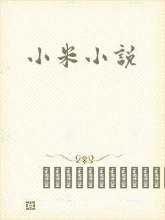 小米小说