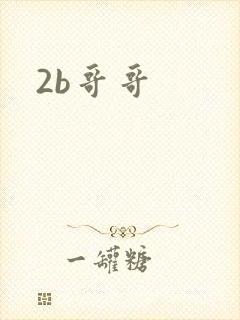 2b哥哥