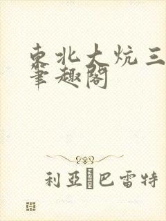 东北大炕三部曲笔趣阁