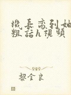 机长脔到她哭h粗话h视频