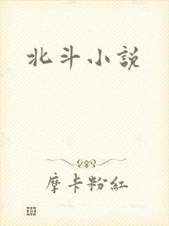 北斗小说