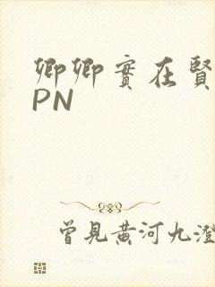 卿卿实在贤良NPN