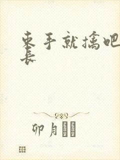 束手就擒吧韩队长