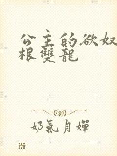 公主的欲奴h四根双龙