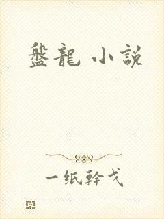 盘龙 小说