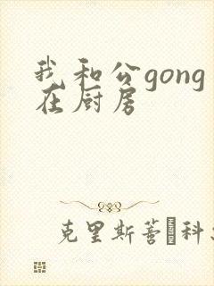 我和公gong在厨房