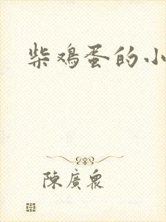 柴鸡蛋的小说