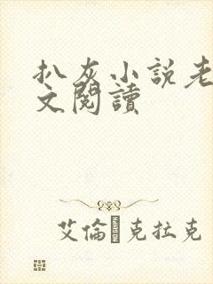 扒灰小说老马全文阅读