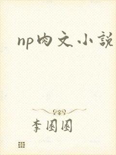 np肉文小说