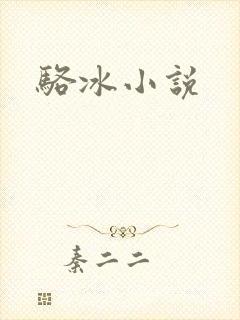 骆冰小说