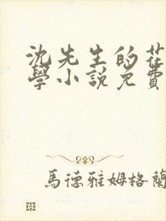 沈先生的花式教学小说免费