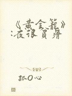 《黄金笼》作者:夜很贫瘠