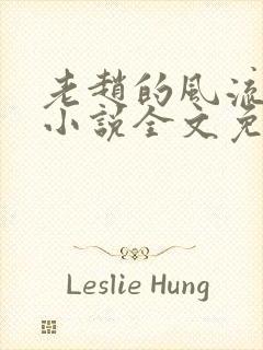 老赵的风流人生小说全文免费阅读