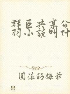 群臣共享公主银羽小说叫什么