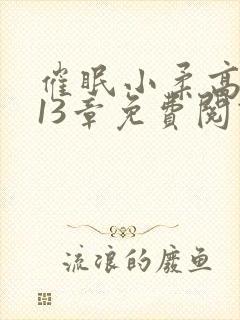 催眠小柔高达第13章免费阅读