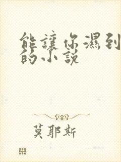 能让你湿到不行的小说