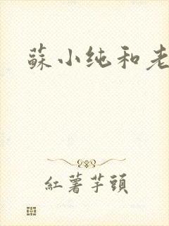 苏小纯和老苏