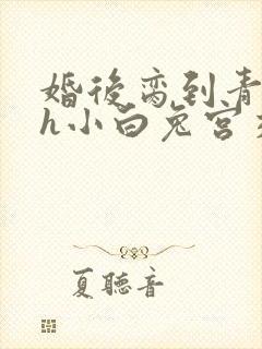 婚后脔到青梅哭h小白兔宫交h