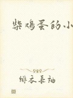 柴鸡蛋的小说