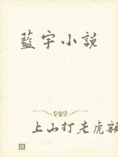 蓝宇小说