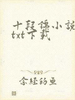 十段锦小说全本txt下载