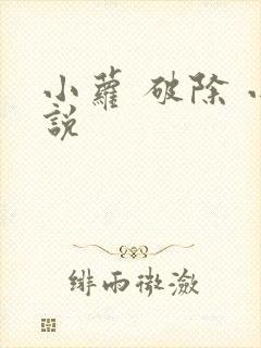 小萝 破除 小说