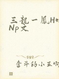 三龙一凤H啪肉Np文