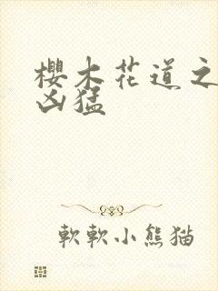 樱木花道之重生凶猛