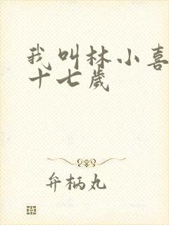 我叫林小喜今年十七岁
