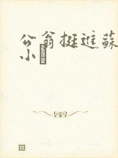 公翁挺进苏玥的小泬