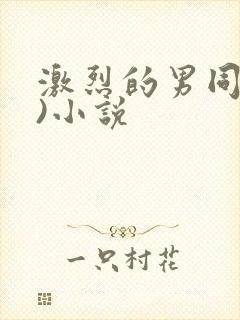 激烈的男同(h)小说