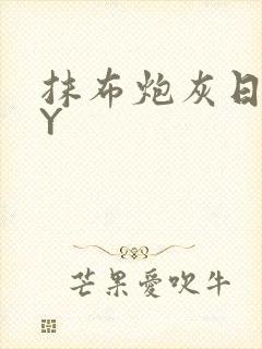 抹布炮灰日记BY