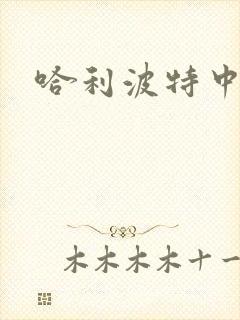 哈利波特中文版