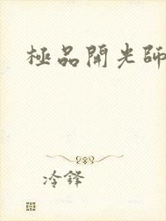 极品开光师