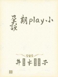 孕期play小说