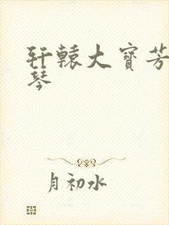 轩辕大宝芳菲雅琴