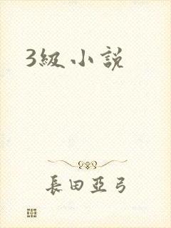 3级小说