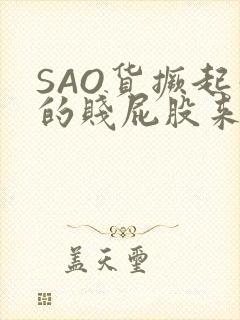 SAO货撅起你的贱屁股来