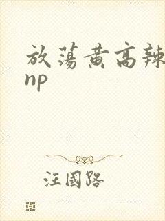 放荡黄高辣h文np
