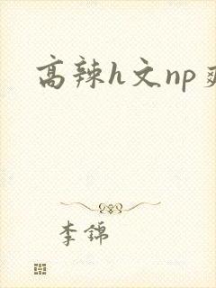高辣h文np爽