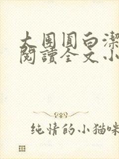 大团圆白洁免费阅读全文小说