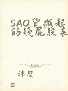 SAO货撅起你的贱屁股来